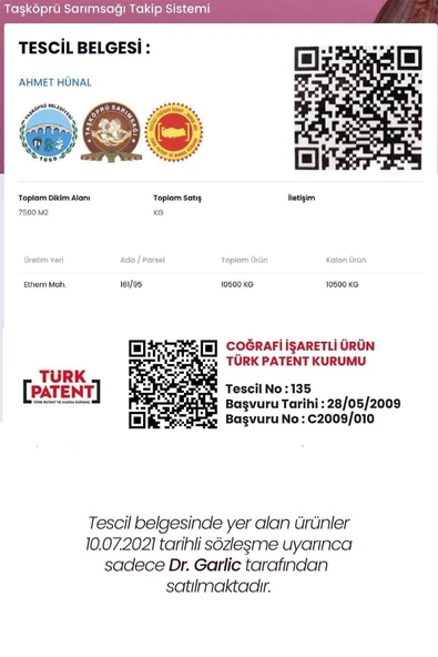 sarımsak Taşköprü Sarımsağı/kastamonu -tescilli-coğrafi Işaretli-orijinal Küçük Boy -1 Kg. Fiyat - Resim 3