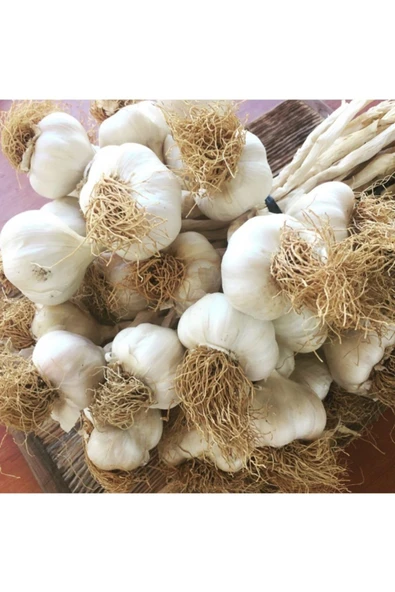 Dereköy Yöresel Ürünler Kastamonu Taşköprü Sarımsağı 500 gr - Resim 3