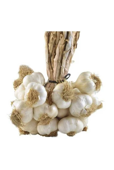 Doğal Amasya Taşköprü Sarımsağı 250gr ürün görseli