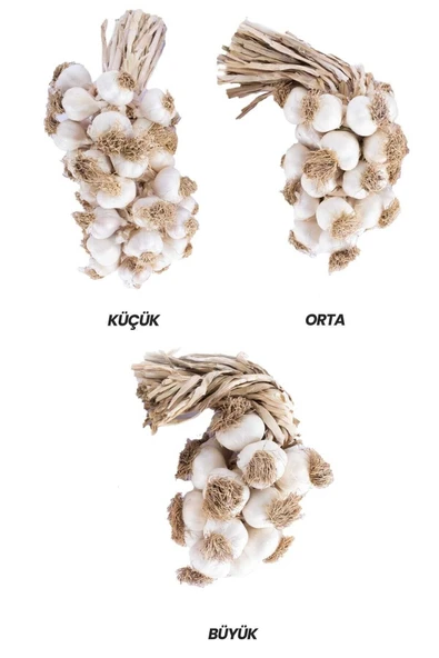 sarımsak Taşköprü Sarımsağı/kastamonu -tescilli-coğrafi Işaretli-orijinal Küçük Boy -1 Kg. Fiyat - Resim 2