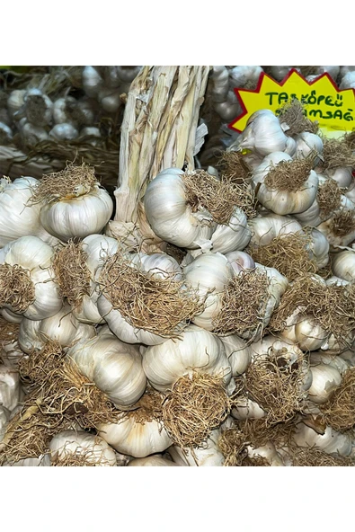 PeraMila Hakiki Kastamonu Taşköprü Sarımsağı Tarladan Sofralarınıza İri Boy Sarımsak 1 Kg Yeni Sezon - Resim 2