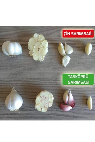 sarımsak 2025 Yeni Sezon Hakiki Kastamonu Taşköprü Sarımsağı - Double Boy - 1 Kg - - Resim 2