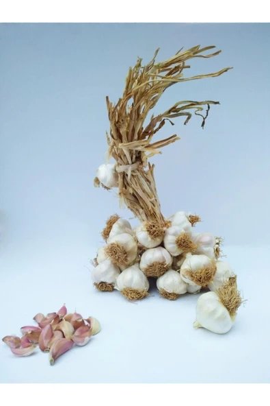 Yörece Taşköprü Sarımsak Kastamonu Taşköprü Sarımsağı 1 Kg Büyük Boy ürün görseli