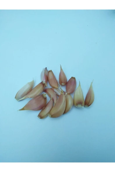 Yörece Taşköprü Sarımsak Kastamonu Taşköprü Sarımsağı 1 Kg Orta Boy - Resim 3