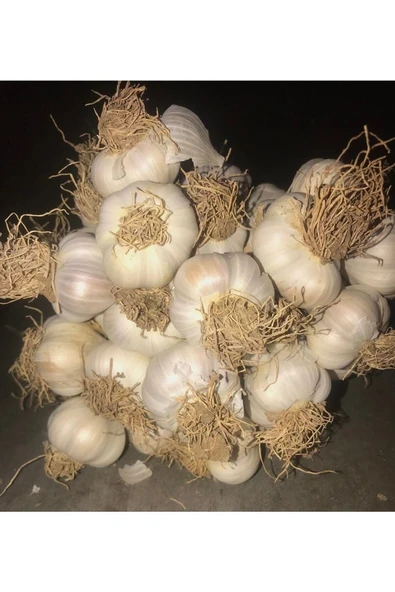 Taşköprü Sarımsağı Sarımsak Küçük Boy(2 Kg) - Resim 2