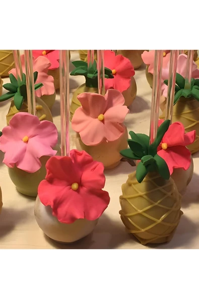 Big Party Cake Pops Çubuğu Şeffaf 14 Cm 12'li - Resim 2