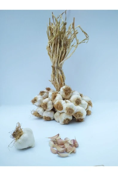 Yörece Taşköprü Sarımsak Kastamonu Taşköprü Sarımsağı 1 Kg Orta Boy ürün görseli