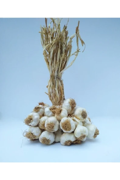 Yörece Taşköprü Sarımsak Kastamonu Taşköprü Sarımsağı 1 Kg Orta Boy - Resim 2