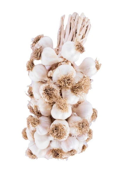 sarımsak Taşköprü Sarımsağı/kastamonu -tescilli-coğrafi Işaretli-orijinal Küçük Boy -1 Kg. Fiyat ürün görseli