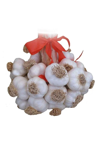 sarımsak 2025 Yeni Sezon Hakiki Kastamonu Taşköprü Sarımsağı - Double Boy - 1 Kg - ürün görseli