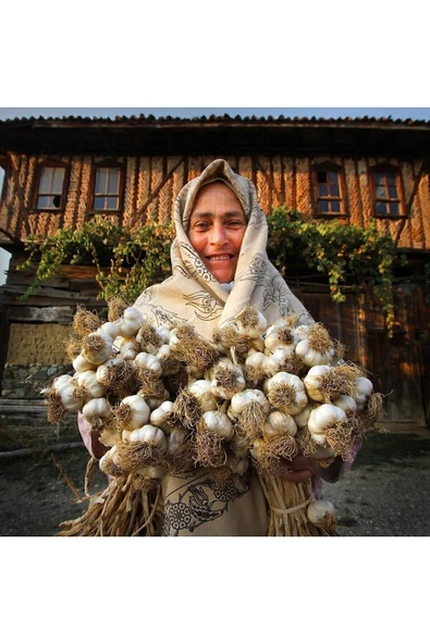 TAŞKÖPRÜ Batton Kastamonu Taş Köprü Sarımsağı 1 Kg 2025 (YENİ HASAT) - Resim 3