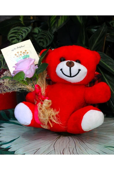 ELİNDE KADİFE GÜL & İYİ Kİ DOĞDUN KARTI TUTAN 25cm PELUŞ AYI SEVDİKLERİNİZE ÖZEL GÜN HEDİYESİ - Resim 4