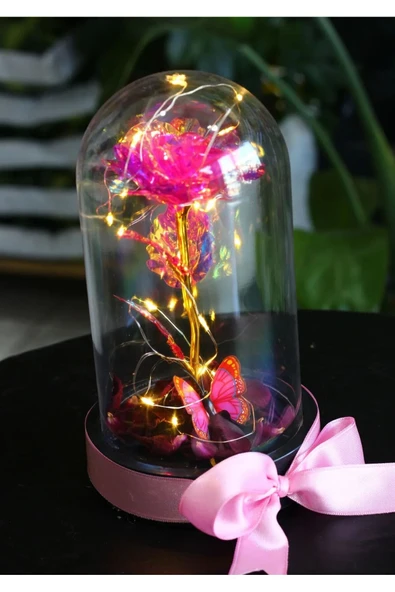 FANUS İÇERİSİNDE PERİ LED IŞIKLI KELEBEKLİ ÇİÇEK SOLMAYAN SONSUZLUK GÜLÜ SEVDİKLERİNİZE HEDİYE - Resim 2