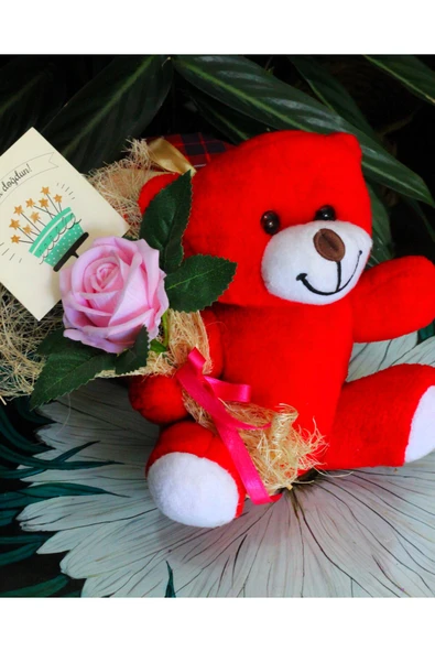 ELİNDE KADİFE GÜL & İYİ Kİ DOĞDUN KARTI TUTAN 25cm PELUŞ AYI SEVDİKLERİNİZE ÖZEL GÜN HEDİYESİ - Resim 2