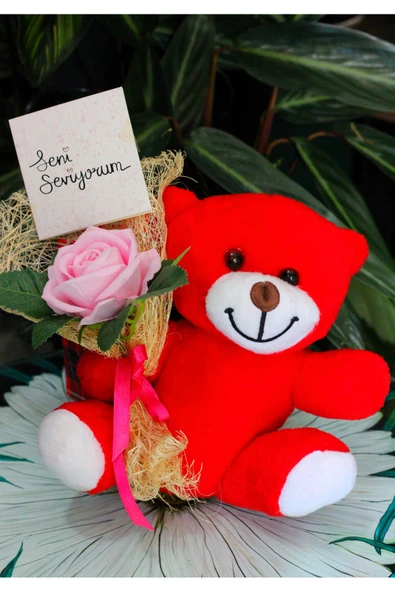 ELİNDE KADİFE GÜL & SENİ SEVİYORUM KARTI TUTAN 25cm PELUŞ AYI SEVDİKLERİNİZE ÖZEL GÜN HEDİYESİ - Resim 4