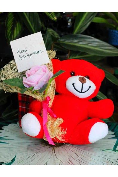 ELİNDE KADİFE GÜL & SENİ SEVİYORUM KARTI TUTAN 25cm PELUŞ AYI SEVDİKLERİNİZE ÖZEL GÜN HEDİYESİ - Resim 2