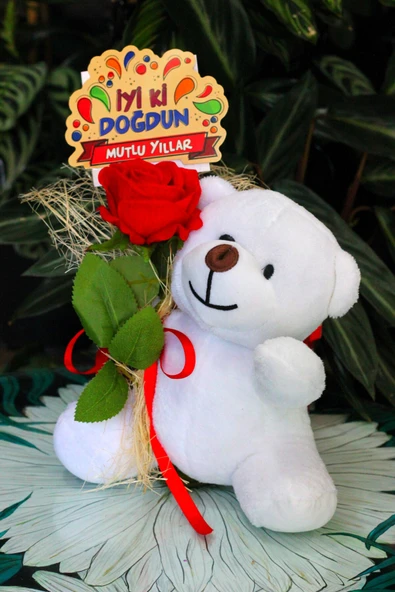 ELİNDE KADİFE GÜL & İYİ Kİ DOĞDUN KARTI TUTAN 25cm PELUŞ AYI SEVDİKLERİNİZE ÖZEL GÜN HEDİYESİ - Resim 4