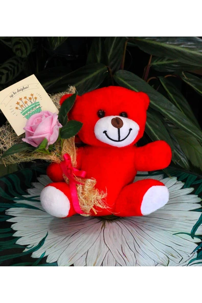 ELİNDE KADİFE GÜL & İYİ Kİ DOĞDUN KARTI TUTAN 25cm PELUŞ AYI SEVDİKLERİNİZE ÖZEL GÜN HEDİYESİ - Resim 5