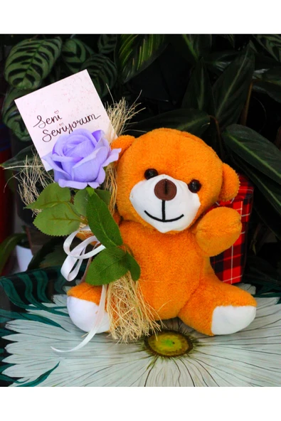 ELİNDE KADİFE GÜL & SENİ SEVİYORUM KARTI TUTAN 25cm PELUŞ AYI SEVDİKLERİNİZE ÖZEL GÜN HEDİYESİ - Resim 3