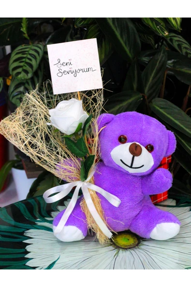 ELİNDE KADİFE GÜL & SENİ SEVİYORUM KARTI TUTAN 25cm PELUŞ AYI SEVDİKLERİNİZE ÖZEL GÜN HEDİYESİ - Resim 4