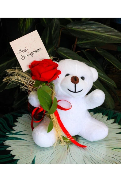 ELİNDE KADİFE GÜL & SENİ SEVİYORUM KARTI TUTAN 25cm PELUŞ AYI SEVDİKLERİNİZE ÖZEL GÜN HEDİYESİ - Resim 3