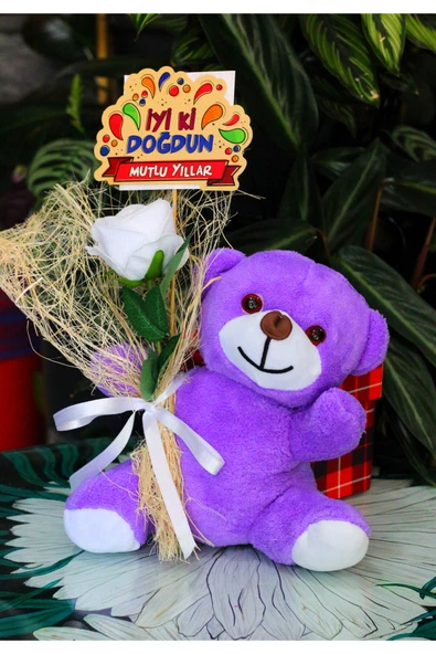 ELİNDE KADİFE GÜL & İYİ Kİ DOĞDUN KARTI TUTAN 25cm PELUŞ AYI SEVDİKLERİNİZE ÖZEL GÜN HEDİYESİ - Resim 2