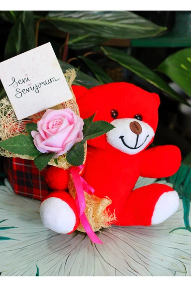 ELİNDE KADİFE GÜL & SENİ SEVİYORUM KARTI TUTAN 25cm PELUŞ AYI SEVDİKLERİNİZE ÖZEL GÜN HEDİYESİ - Resim 3