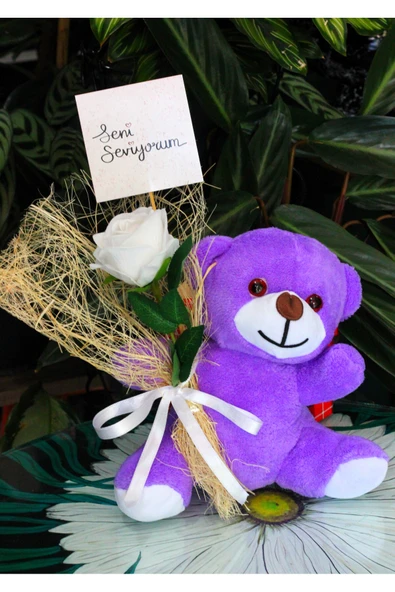 ELİNDE KADİFE GÜL & SENİ SEVİYORUM KARTI TUTAN 25cm PELUŞ AYI SEVDİKLERİNİZE ÖZEL GÜN HEDİYESİ - Resim 3