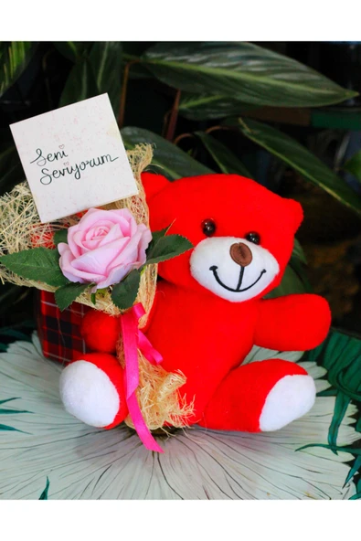 ELİNDE KADİFE GÜL & SENİ SEVİYORUM KARTI TUTAN 25cm PELUŞ AYI SEVDİKLERİNİZE ÖZEL GÜN HEDİYESİ ürün görseli