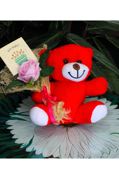 ELİNDE KADİFE GÜL & İYİ Kİ DOĞDUN KARTI TUTAN 25cm PELUŞ AYI SEVDİKLERİNİZE ÖZEL GÜN HEDİYESİ ürün görseli