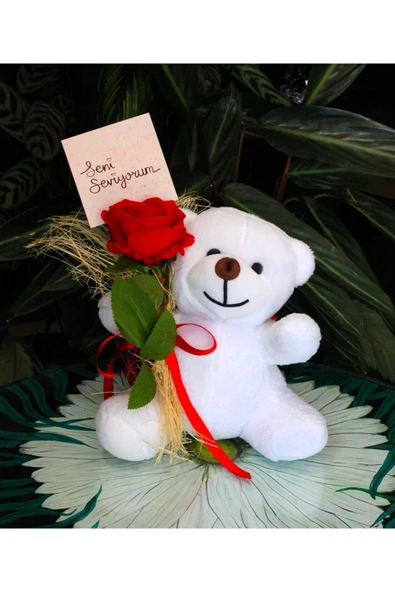 ELİNDE KADİFE GÜL & SENİ SEVİYORUM KARTI TUTAN 25cm PELUŞ AYI SEVDİKLERİNİZE ÖZEL GÜN HEDİYESİ - Resim 4