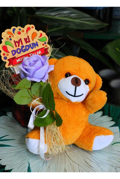 ELİNDE KADİFE GÜL & İYİ Kİ DOĞDUN KARTI TUTAN 25cm PELUŞ AYI SEVDİKLERİNİZE ÖZEL GÜN HEDİYESİ - Resim 2