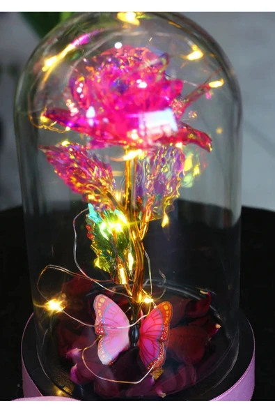 FANUS İÇERİSİNDE PERİ LED IŞIKLI KELEBEKLİ ÇİÇEK SOLMAYAN SONSUZLUK GÜLÜ SEVDİKLERİNİZE HEDİYE - Resim 5