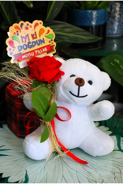 ELİNDE KADİFE GÜL & İYİ Kİ DOĞDUN KARTI TUTAN 25cm PELUŞ AYI SEVDİKLERİNİZE ÖZEL GÜN HEDİYESİ - Resim 3