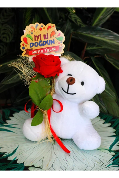 ELİNDE KADİFE GÜL & İYİ Kİ DOĞDUN KARTI TUTAN 25cm PELUŞ AYI SEVDİKLERİNİZE ÖZEL GÜN HEDİYESİ ürün görseli