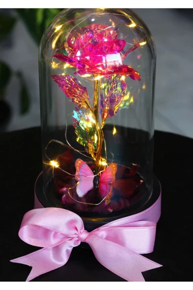 FANUS İÇERİSİNDE PERİ LED IŞIKLI KELEBEKLİ ÇİÇEK SOLMAYAN SONSUZLUK GÜLÜ SEVDİKLERİNİZE HEDİYE ürün görseli