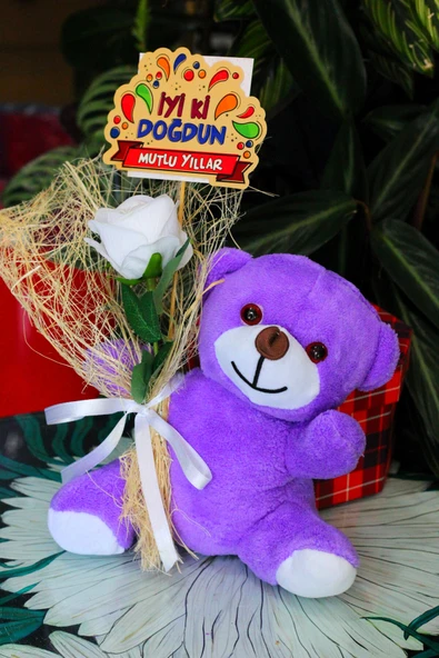 ELİNDE KADİFE GÜL & İYİ Kİ DOĞDUN KARTI TUTAN 25cm PELUŞ AYI SEVDİKLERİNİZE ÖZEL GÜN HEDİYESİ - Resim 3