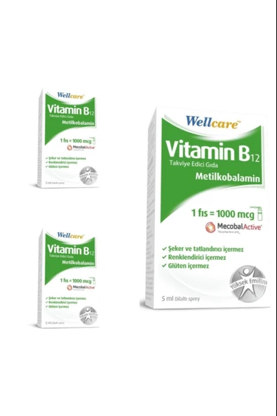 Wellcare Vitamin B12 1000 mcg Sprey 5 ml 3 Adet ürün görseli