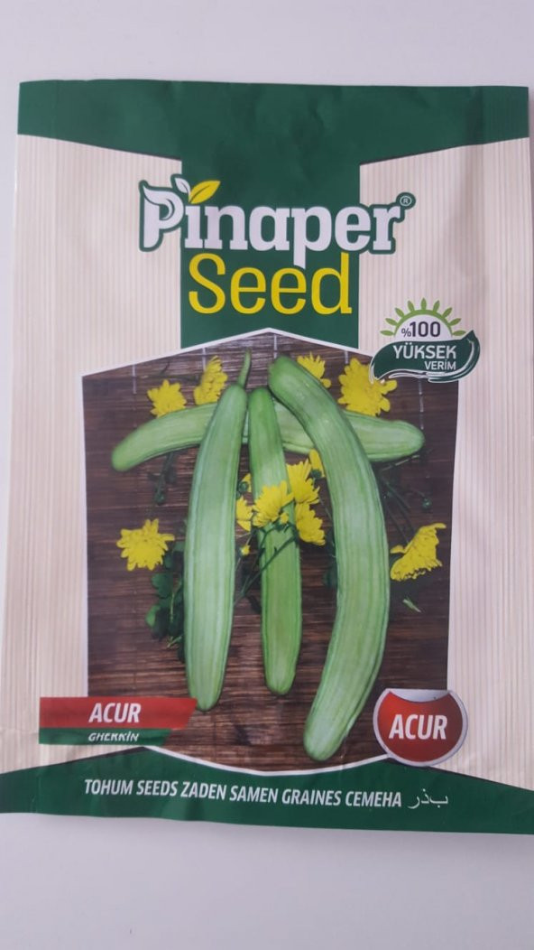 Acur Tohumu 1 Paket %100 Yüksek Verimlidir. - 1