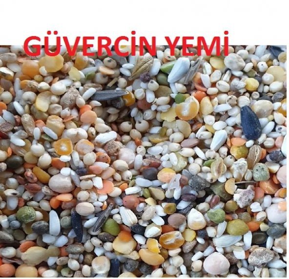 Güvercin Yemi 3 Kg - 2