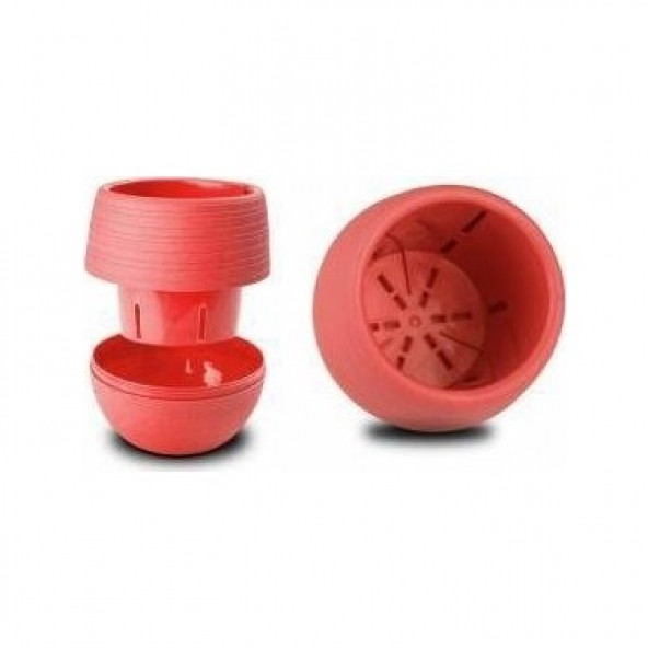 Kaktüs Saksı Elvan 5 No - 2