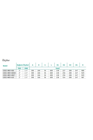 Wilo Initial Coe2-msv 406 Iki Pompalı Hidrofor - 6 Kat 29 Daire - Resim 4
