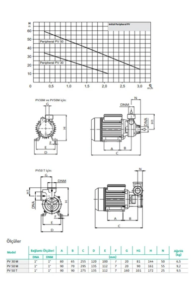 Wilo Initial Peripheral Pv 30m 0.37 Kw 0.5 Hp 220v Monofaze Tek Kademeli Periferik Pompa - Resim 2