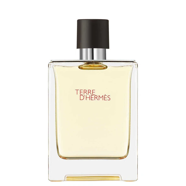 Hermes Terre D'Hermes 100 ml Edt ürün görseli
