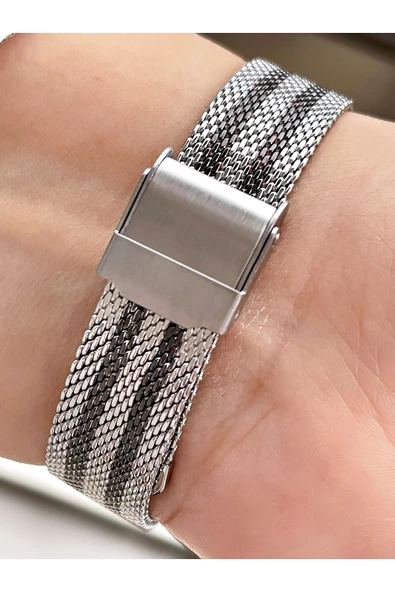 Ferrucci Siyah Gümüş Çift Renk Klasik Hasır Kadın Kol Saati - Resim 5