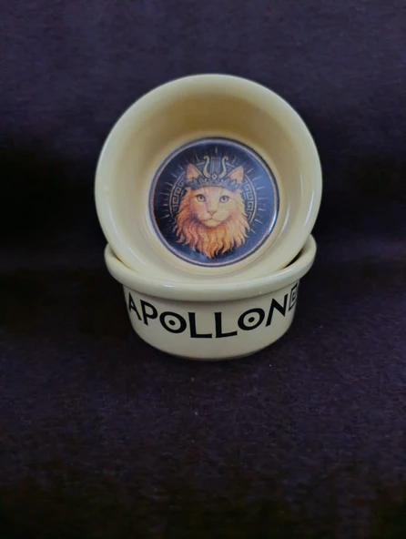 Raccoon Olimpos Serisi Apollon Seramik Mama Ve Su Kabı 300ml ürün görseli 1