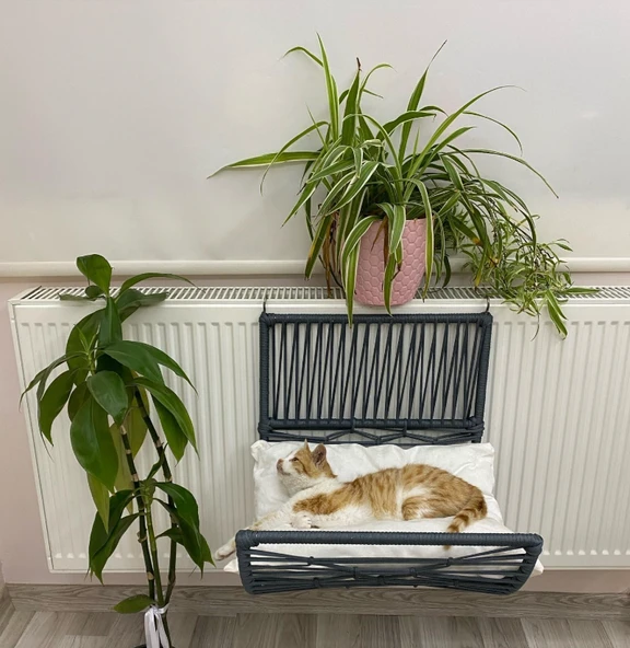 Lepus Yay Petek Kedi Yatak Mix ürün görseli 1