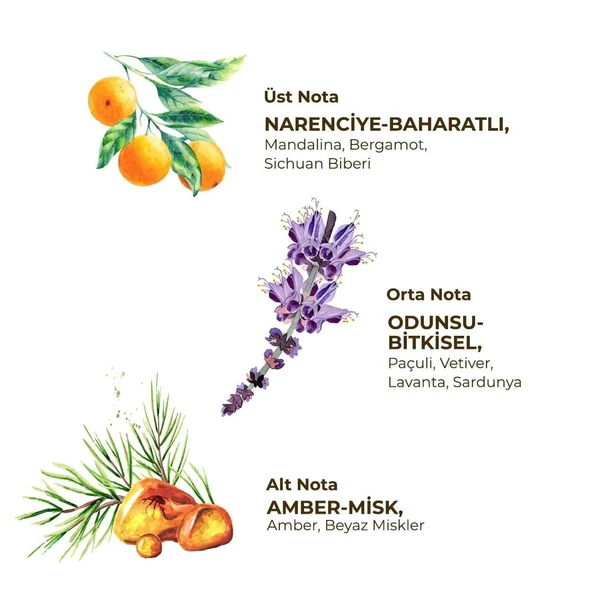 Eyüp Sabri Tuncer Erkek Roll On Deodorant 75 ml Sport - Resim 2