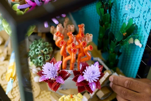 LEGO 10366 Icons Tropikal Akvaryum - Resim 5