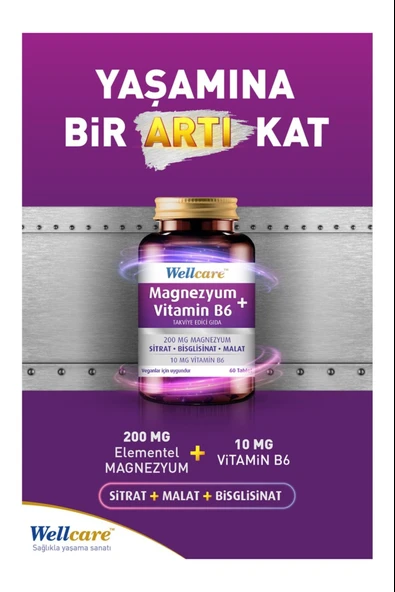 Wellcare Magnezyum + Vitamin B6 30 Tablet 3 Adet - Resim 2